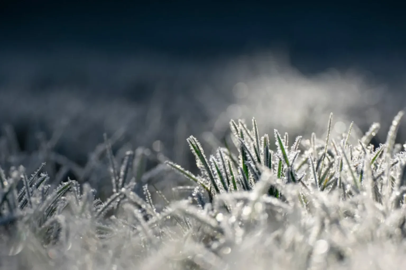 Meteoroloji’den zirai don uyarısı